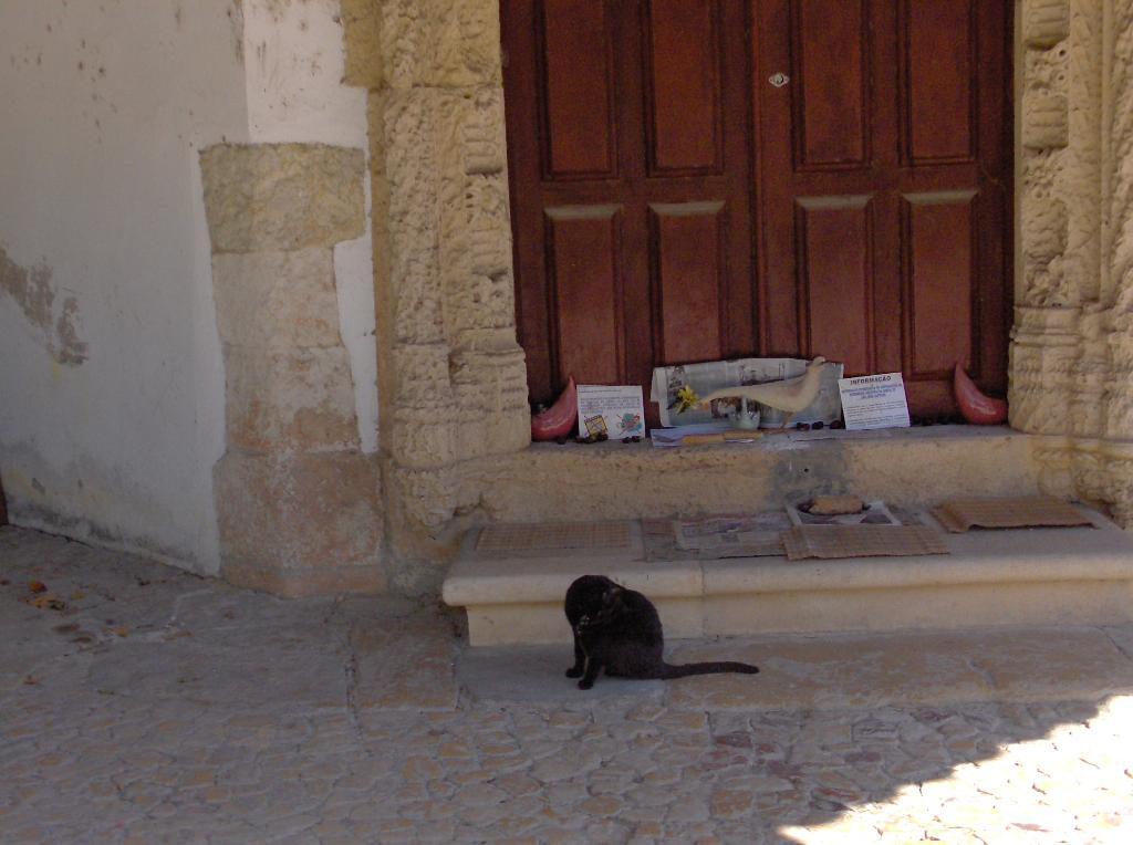 [HPIM2233_Medium.JPG]