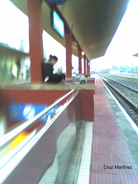 [picture004_3++Cruz+Martinez.jpg]