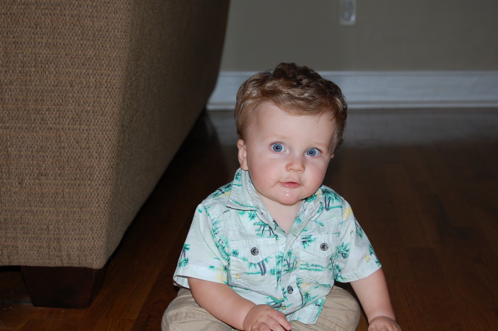 Lucas Mucus