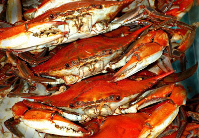 The English Word of the Day: Crab | SpanishDict Answers