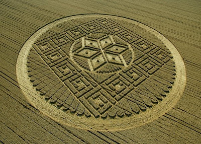 Crop Circle Dna