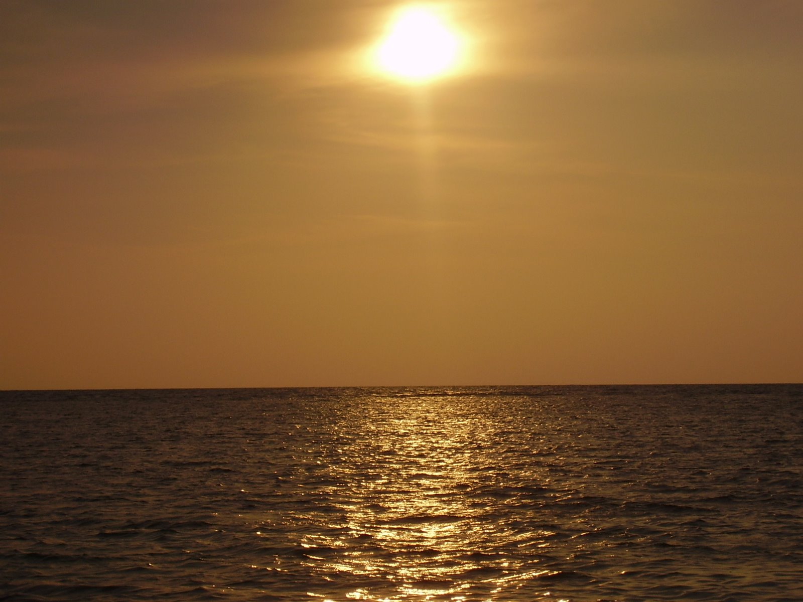[P4060243.JPG]