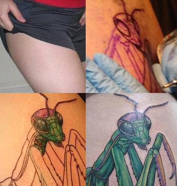 Beautiful Insect Tattoo Art Pictures