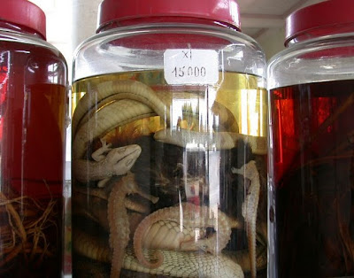 Unbelievable Poisonous Wines And Liquor