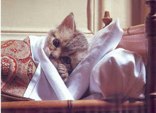 Mi gato está enfermo ;-(