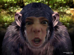 Breaking News!!! Gorilla has escaped from the Zoo!!