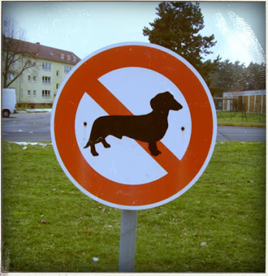 sign_dachshund.jpg