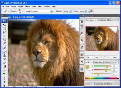 Ps Cs3