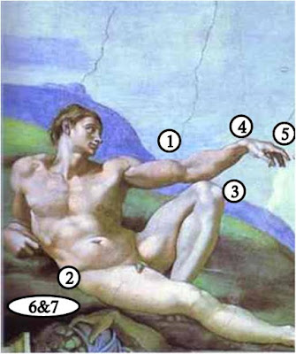 the creation of adam essay the creation of adam essay