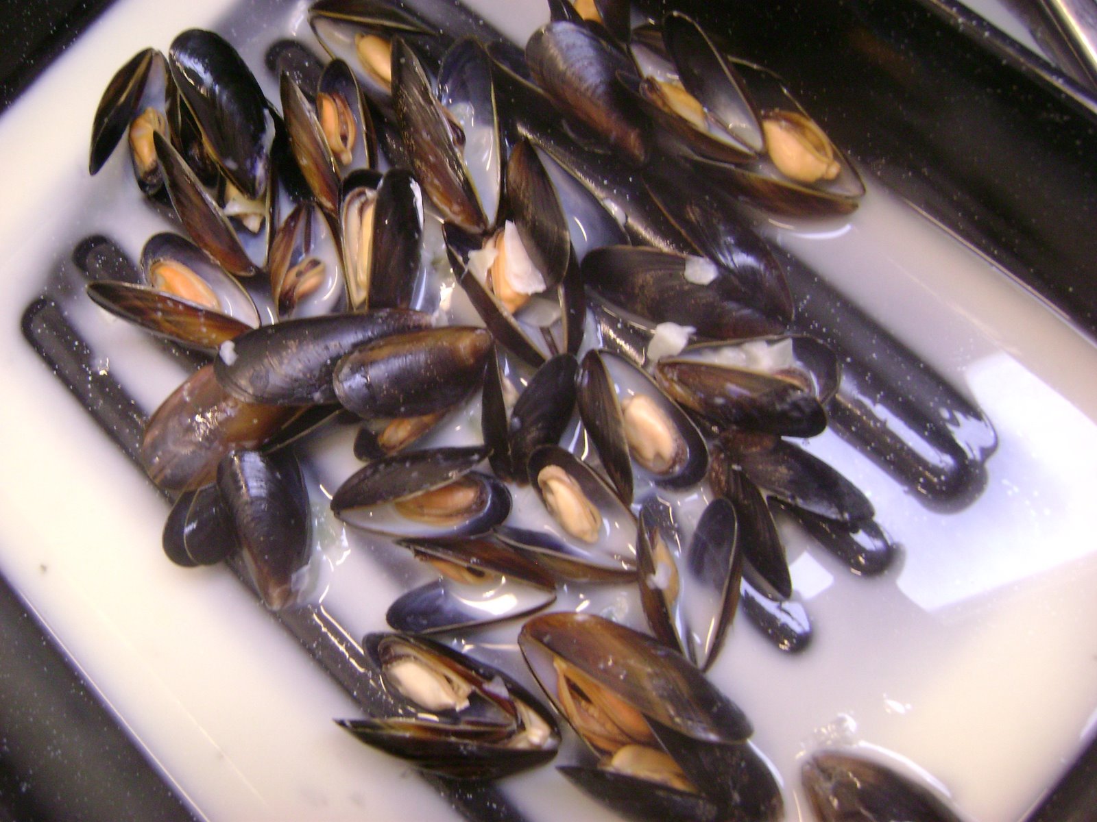 [Mussells.JPG]