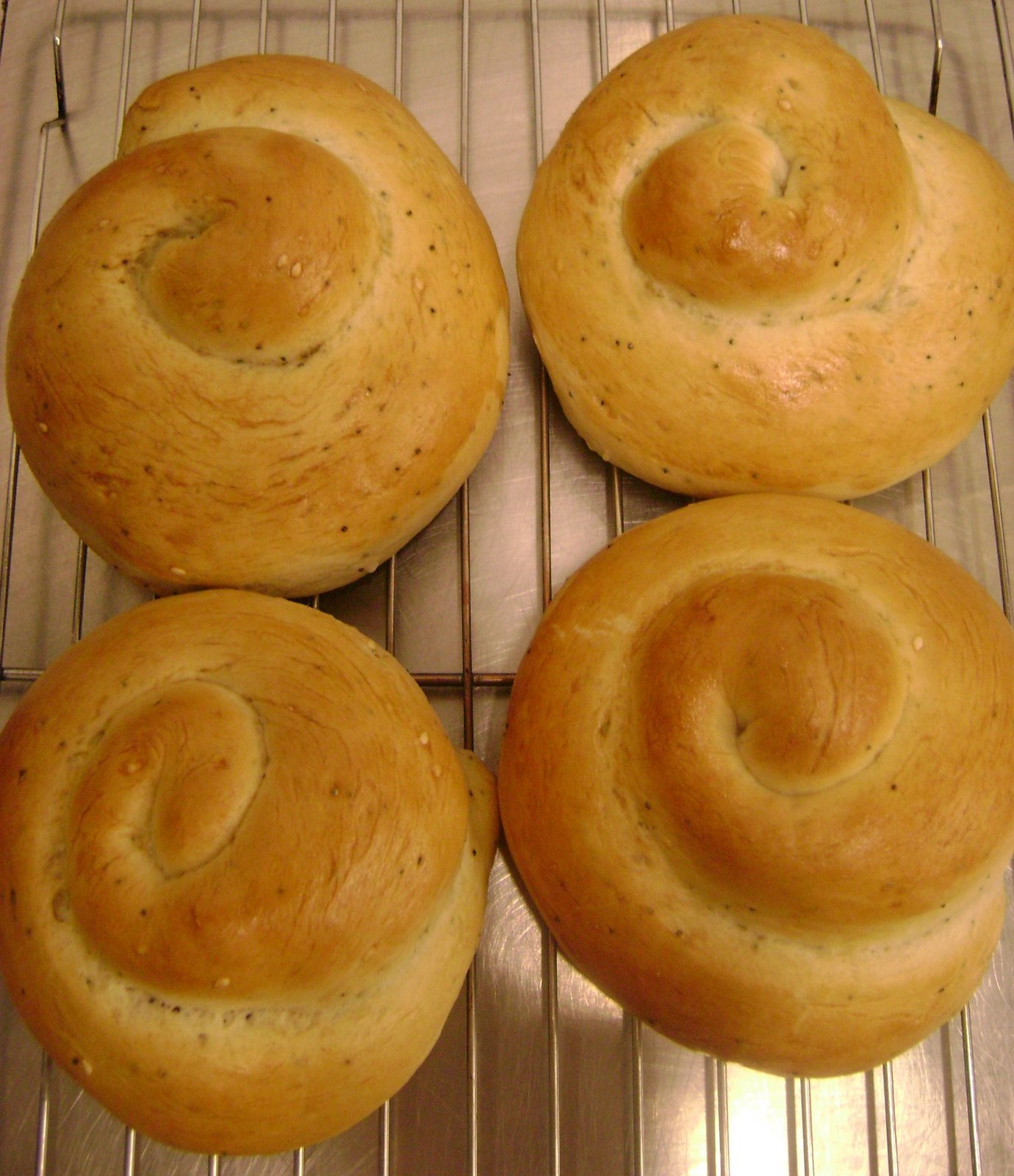 [Snail+bread.JPG]