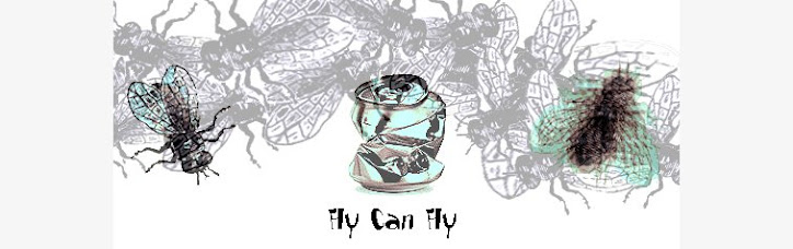 Fly can Fly