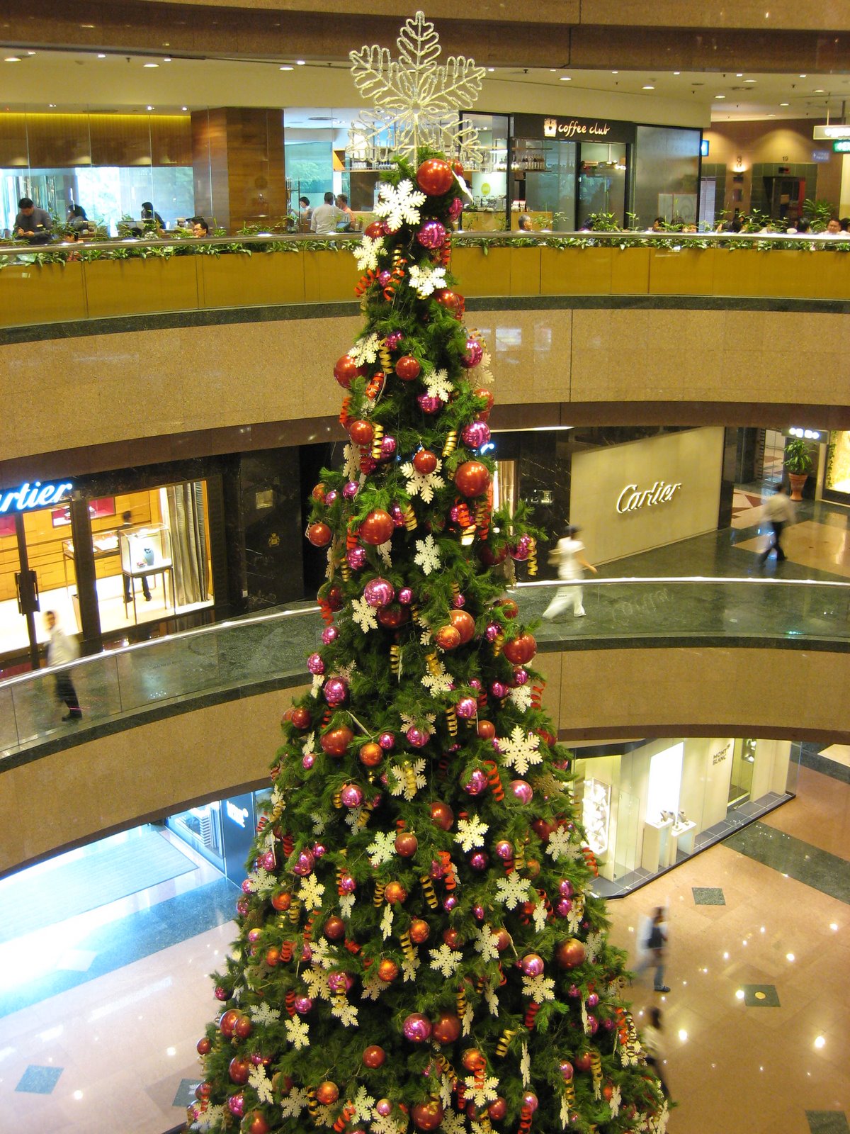 [IMG_4642.JPG]