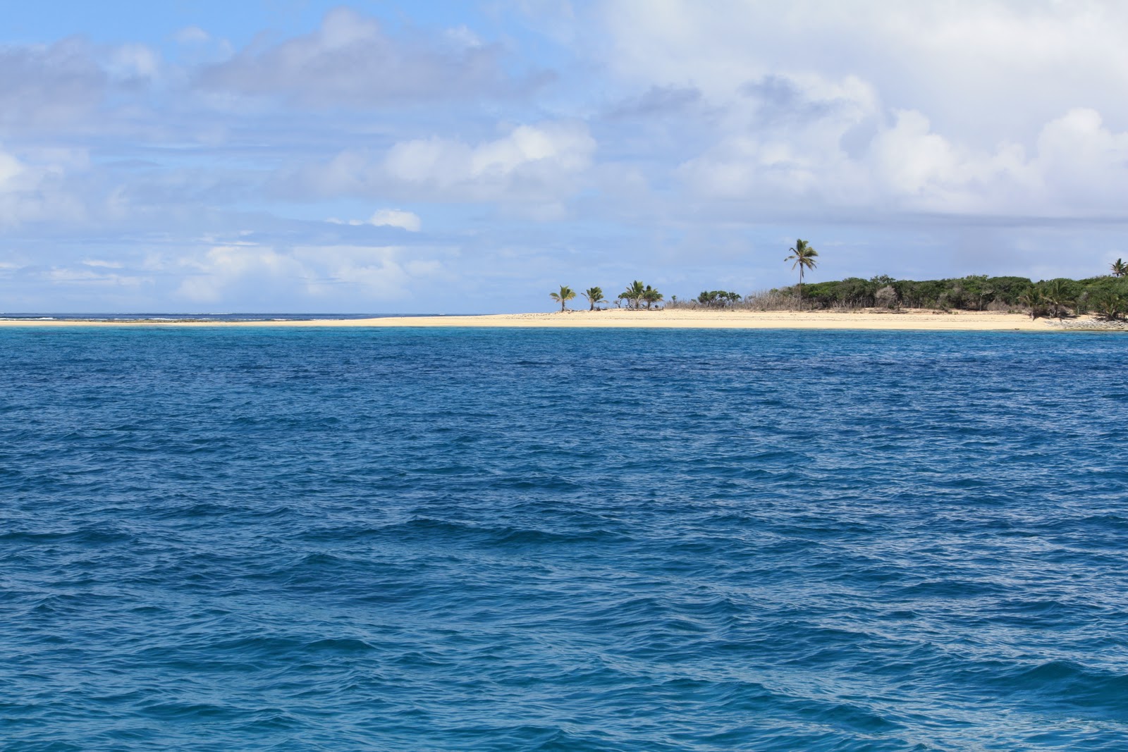 Emily Grace The Kingdom of Tonga Haʻapai