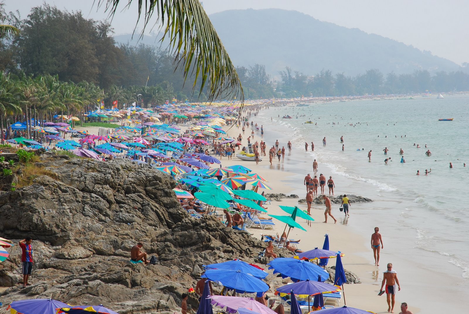 [DSC_6196_resize.JPG]