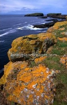 [Cliffs+on+The+Shetland+Islands+Scotland.jpg]