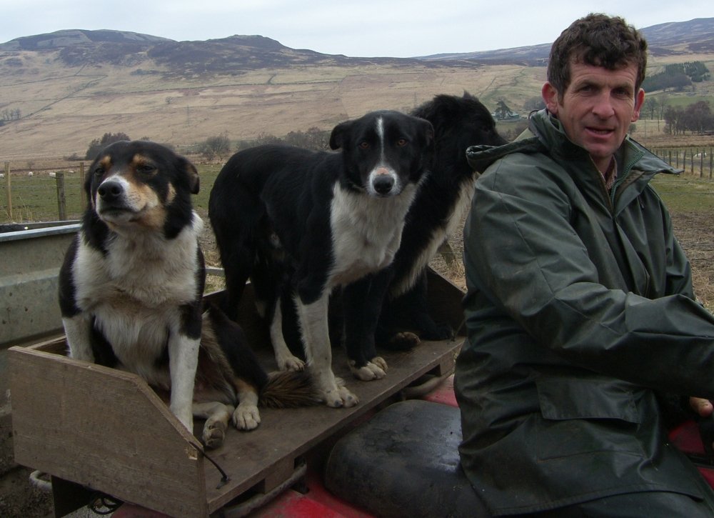[Photograph+of+Glen+Quaich+Shepherd+and+Sheepdogs+Scotland.jpg]