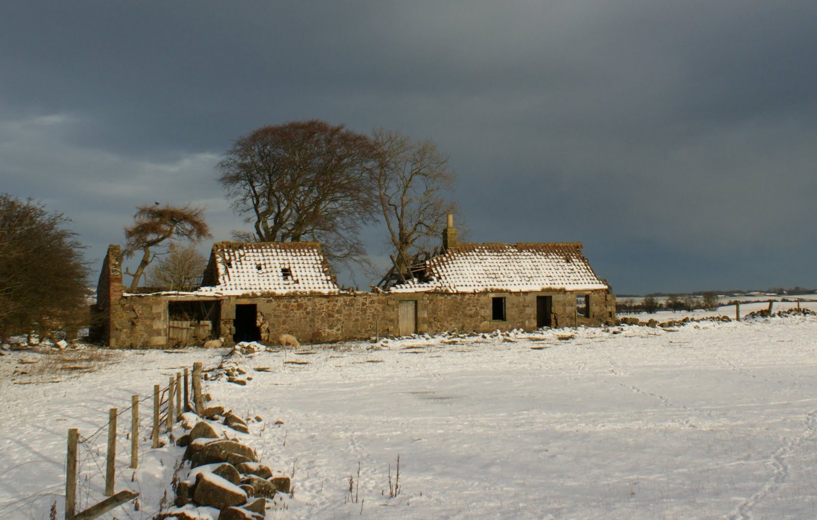 [December+19th+Photograph+Derelict+Cottage+Scotland.jpg]
