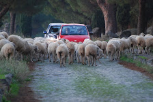 Passeggiata romana