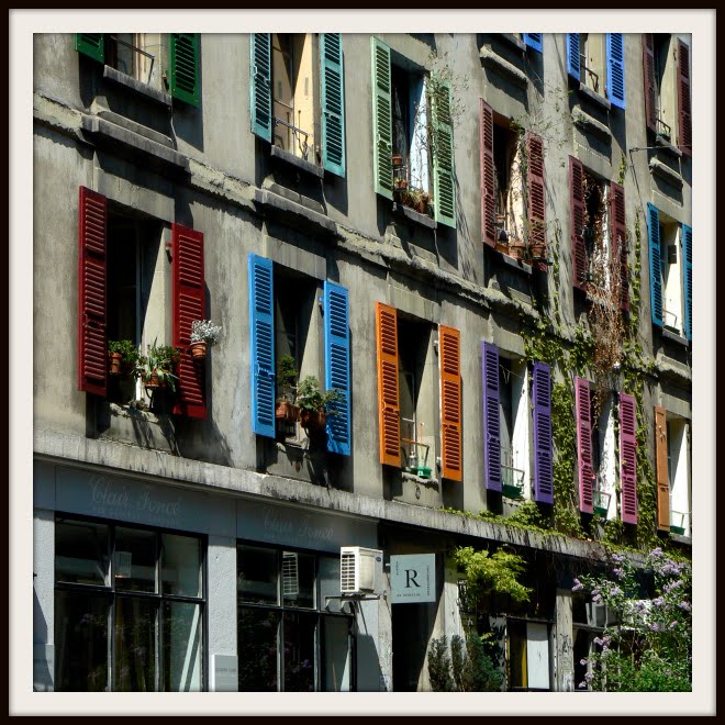 Colorful Shutters