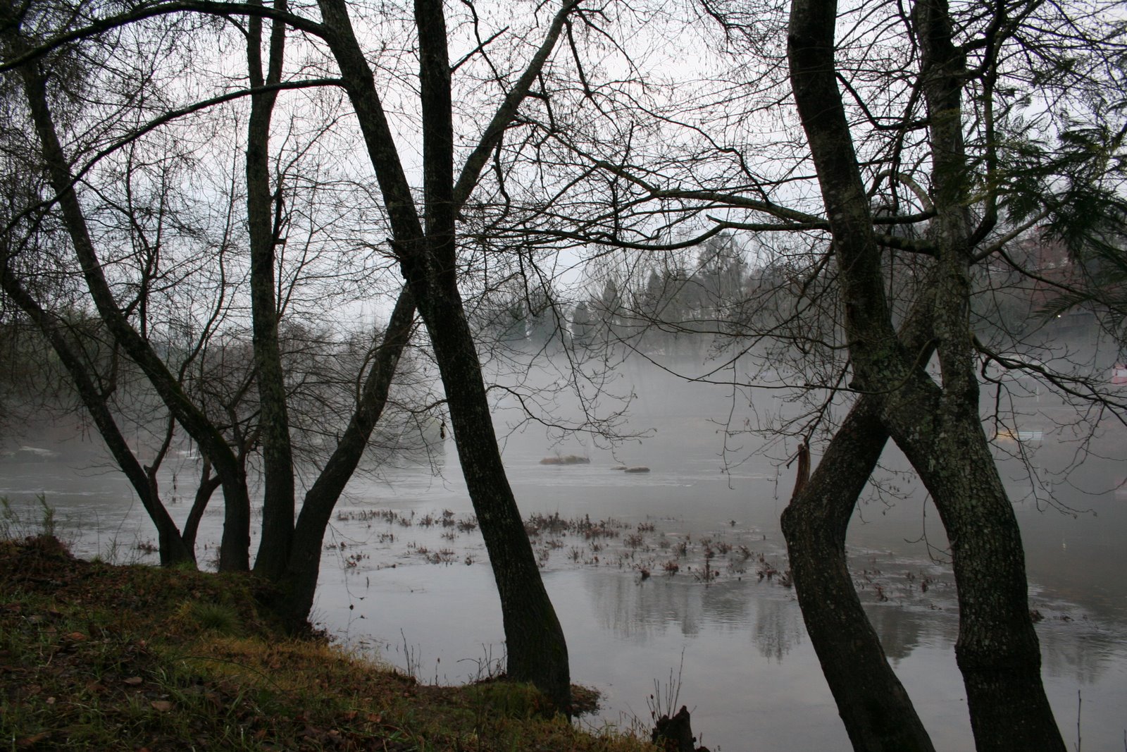 [IMG_1294.JPG]