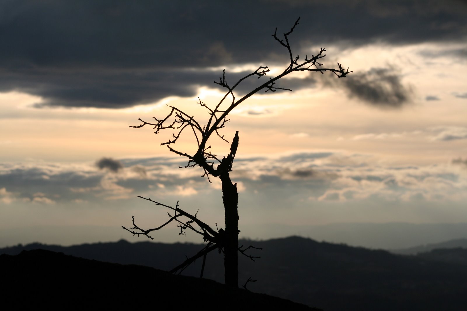[IMG_4282.JPG]