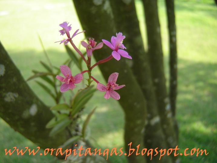 [DSC06134+B.JPG]