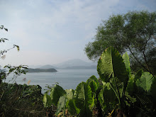 View from Sai Kung road