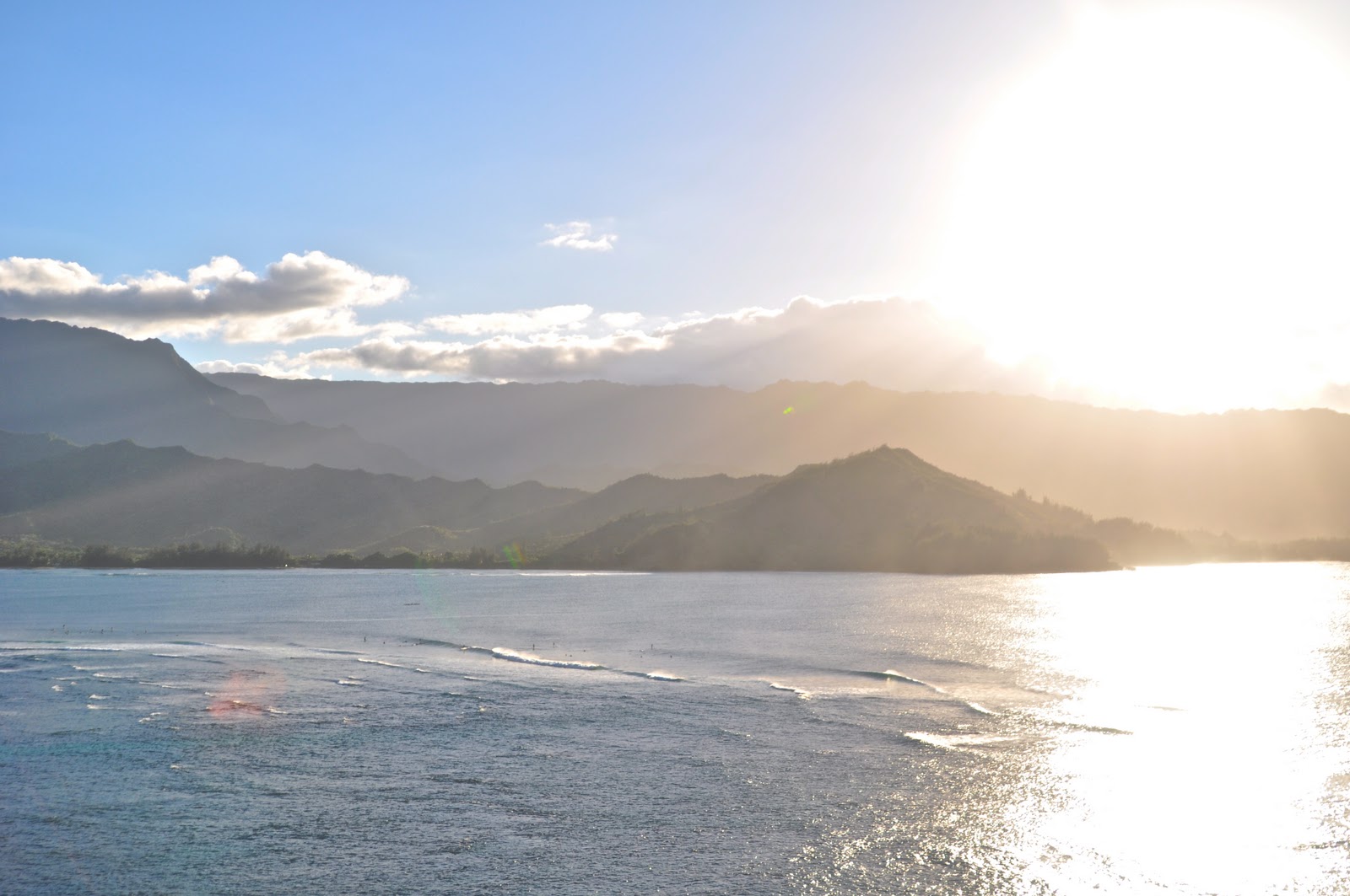 a hui hou... Hawaiian Luau