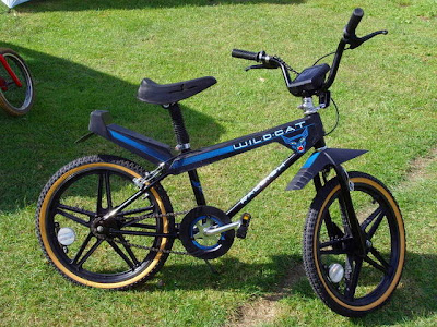 raleigh street wolf bike