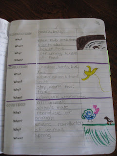 Science Interactive Notebook