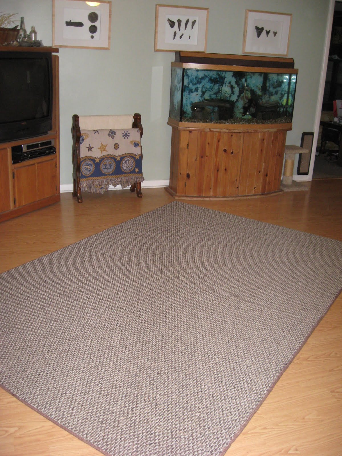 Area Rugs & Carpet Remnants