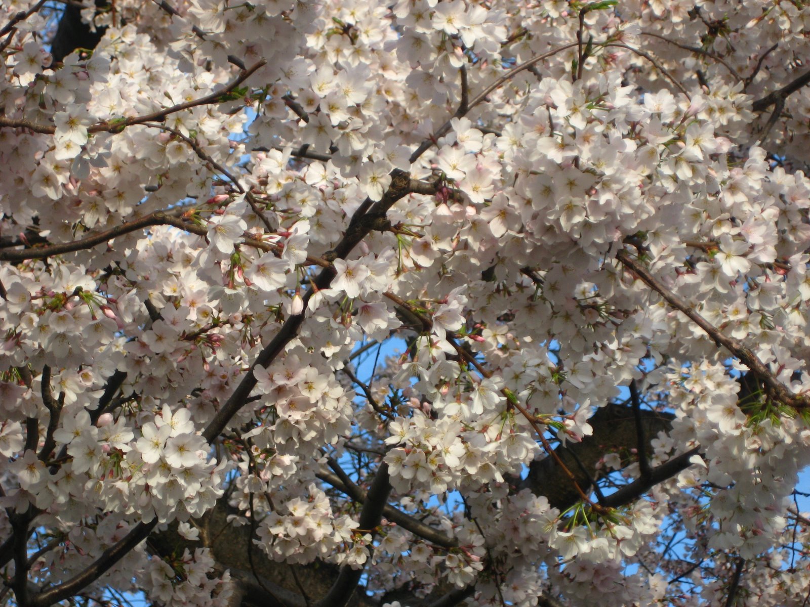 [March+082.jpg]