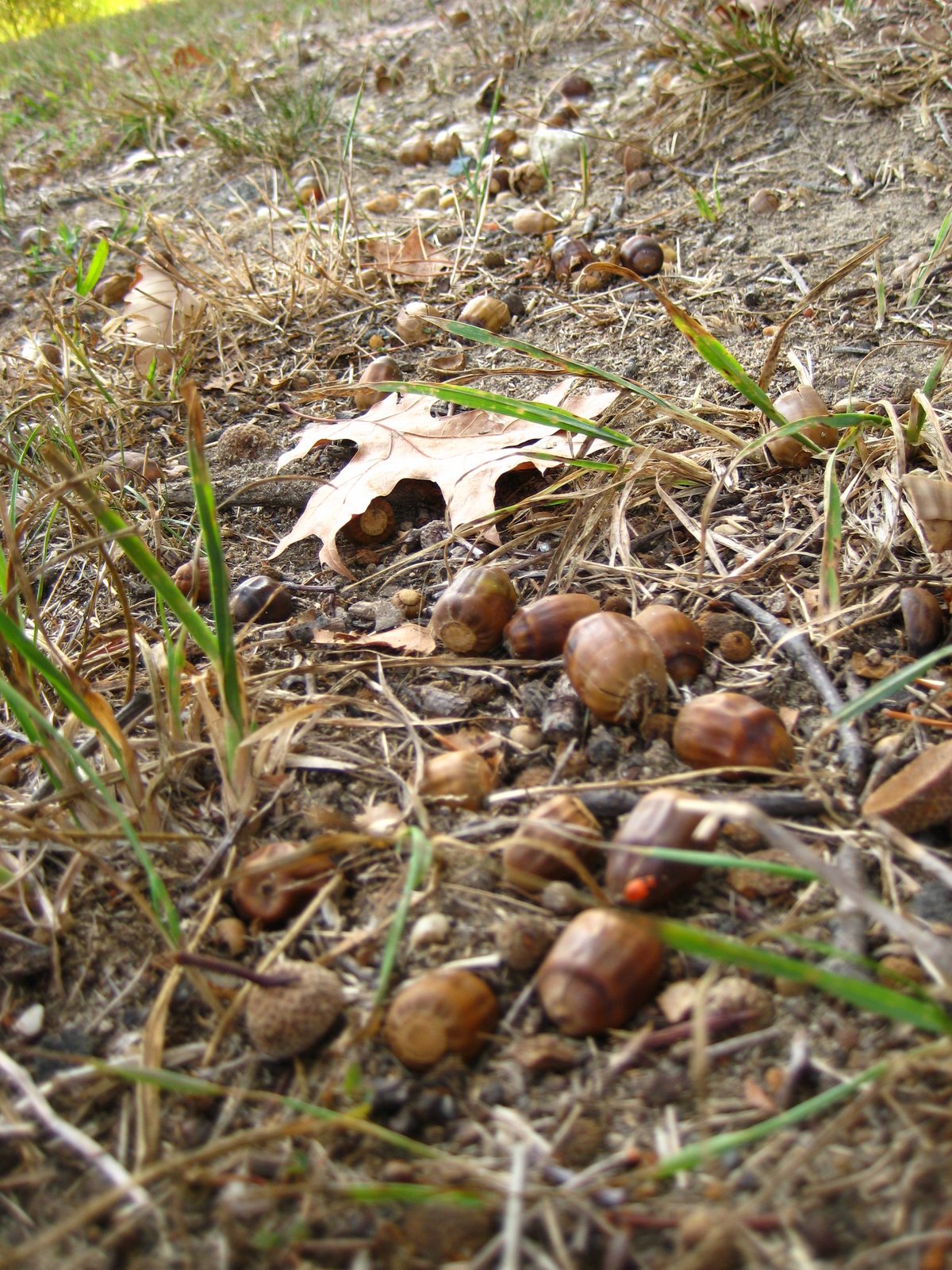 [IMG_0667.JPG]