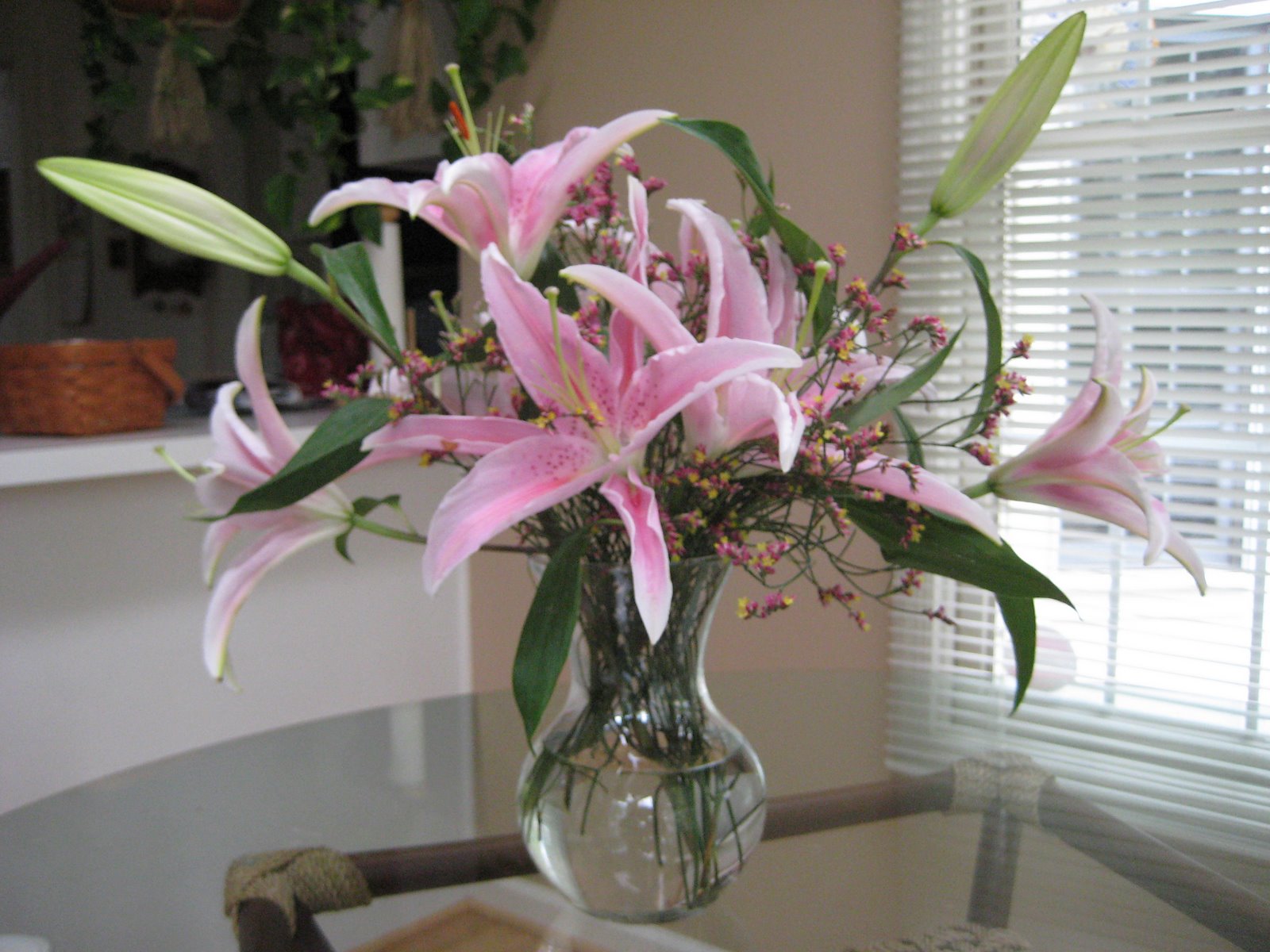 [May+2008+020.jpg]