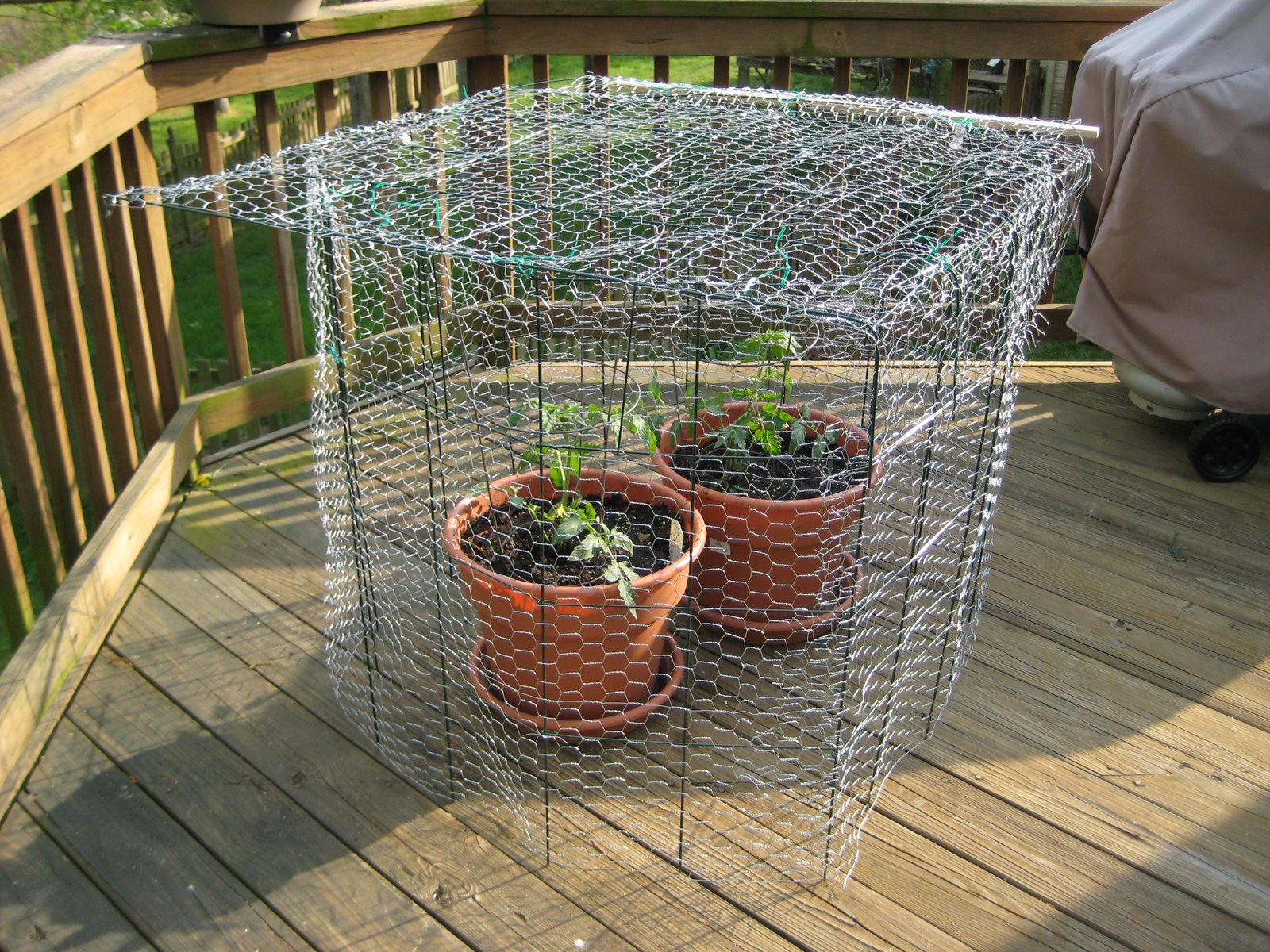 [May+2008+017.jpg]