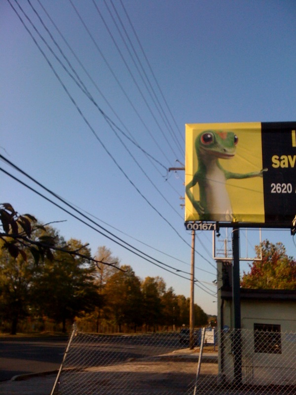 [gecko.jpeg]