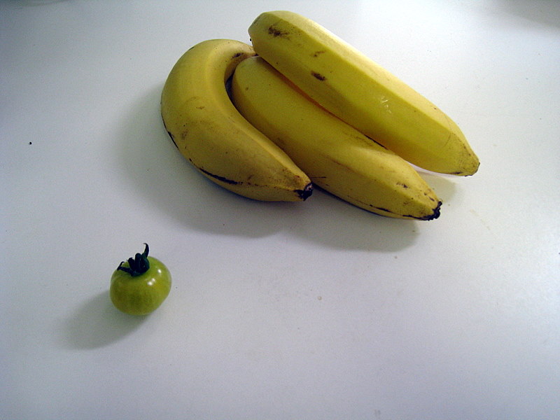 [April+2009+004.jpg]