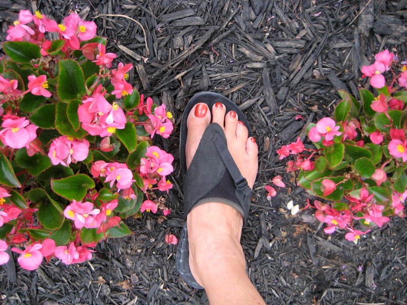 [July2009+057.jpg]