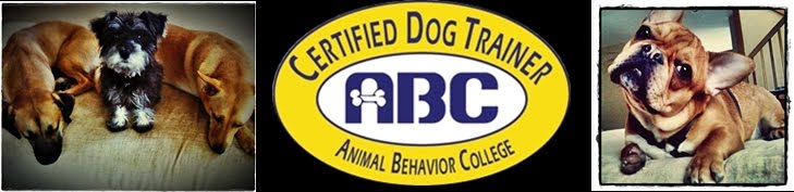 Abc Certified