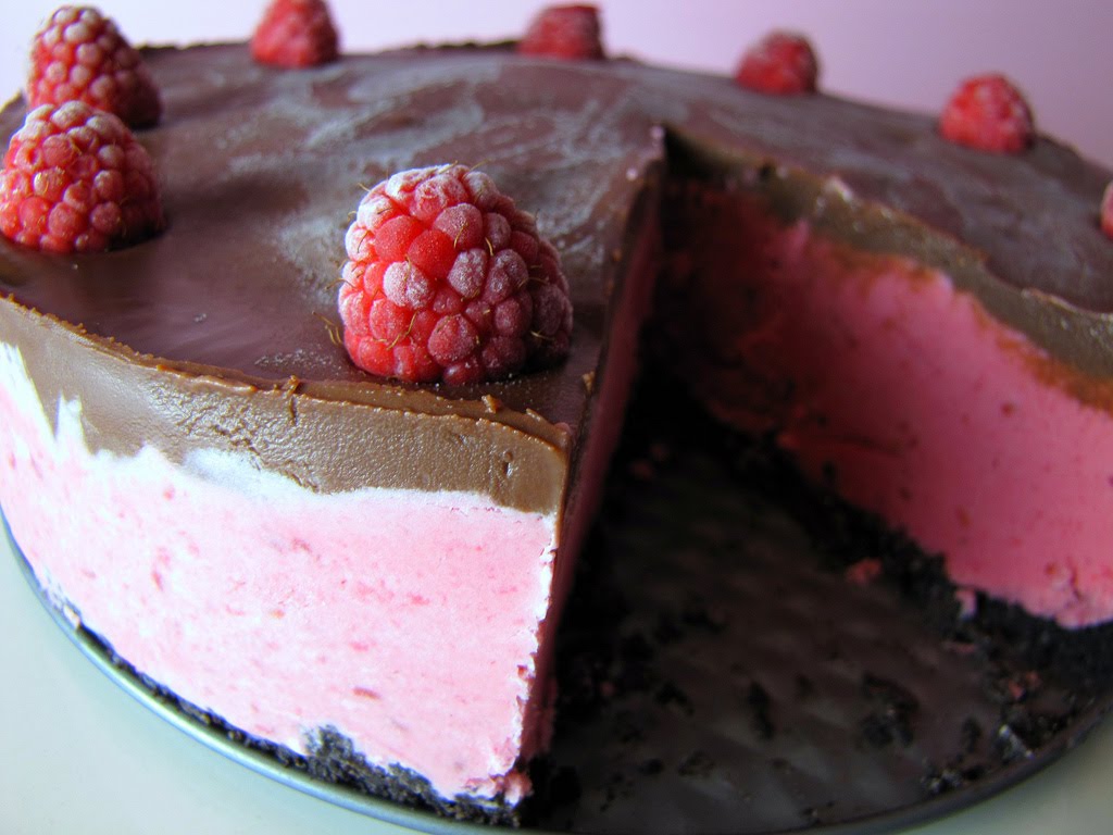 Zucchero Dolce sweet sugar Raspberry Ice Cream Cake with Homemade
