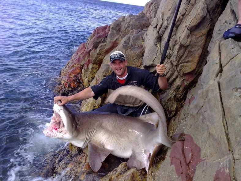 Big Game Fishing in South Africa Shark Fishing in Cape Town Part 1