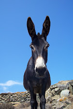 HABITANTES DE GRECIA