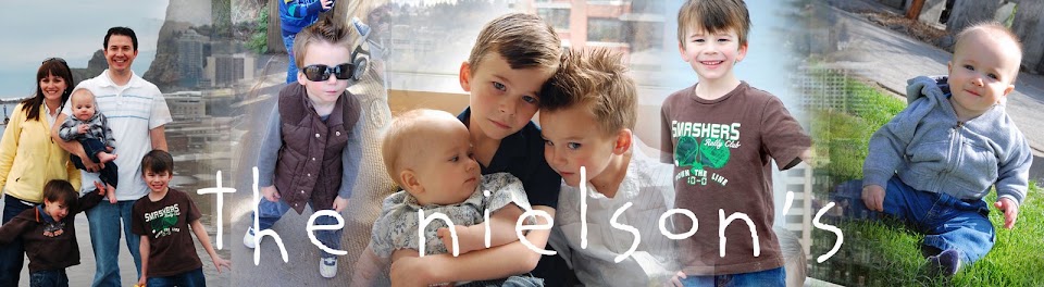 the nielson\