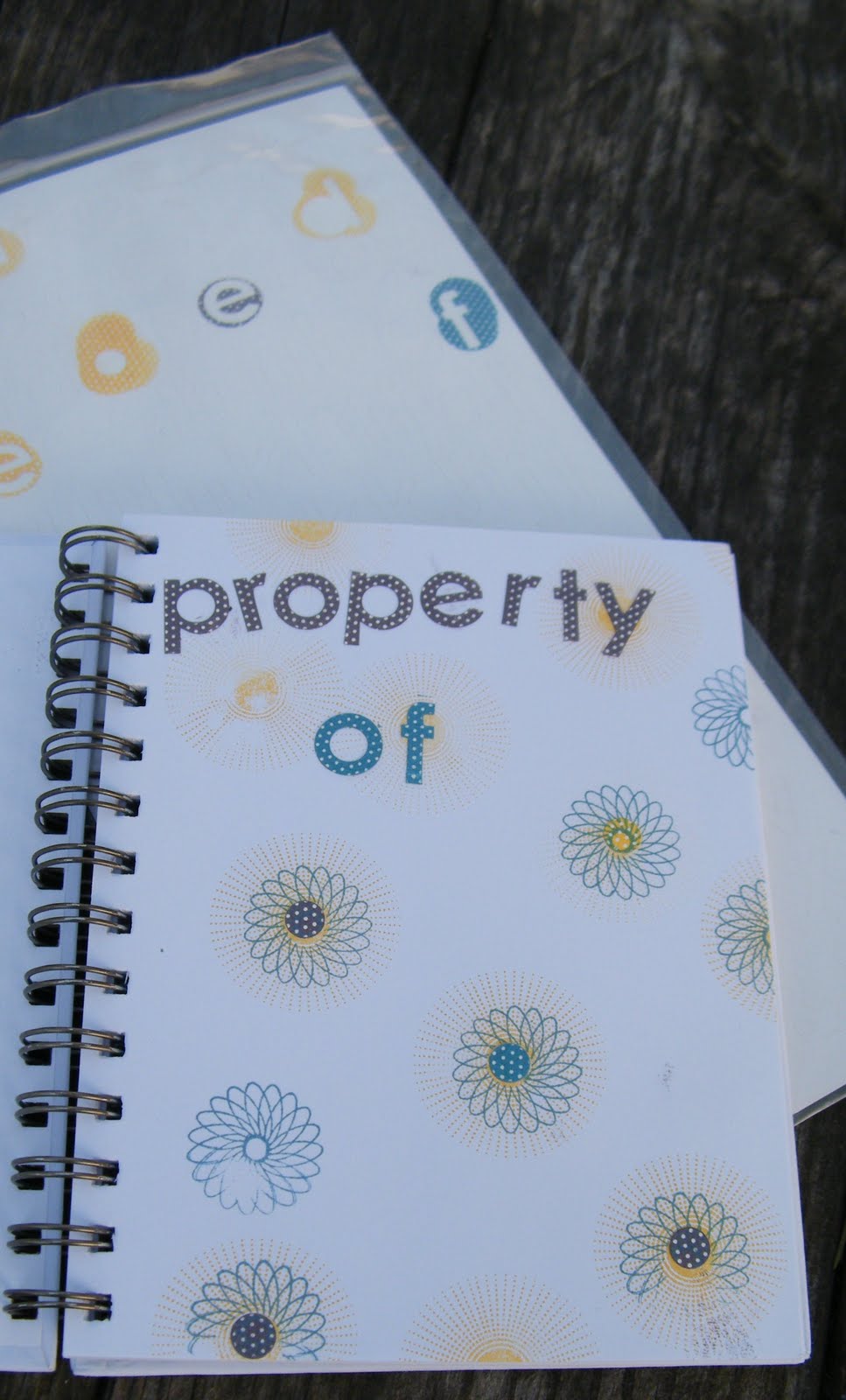 [March+2010+011.JPG]