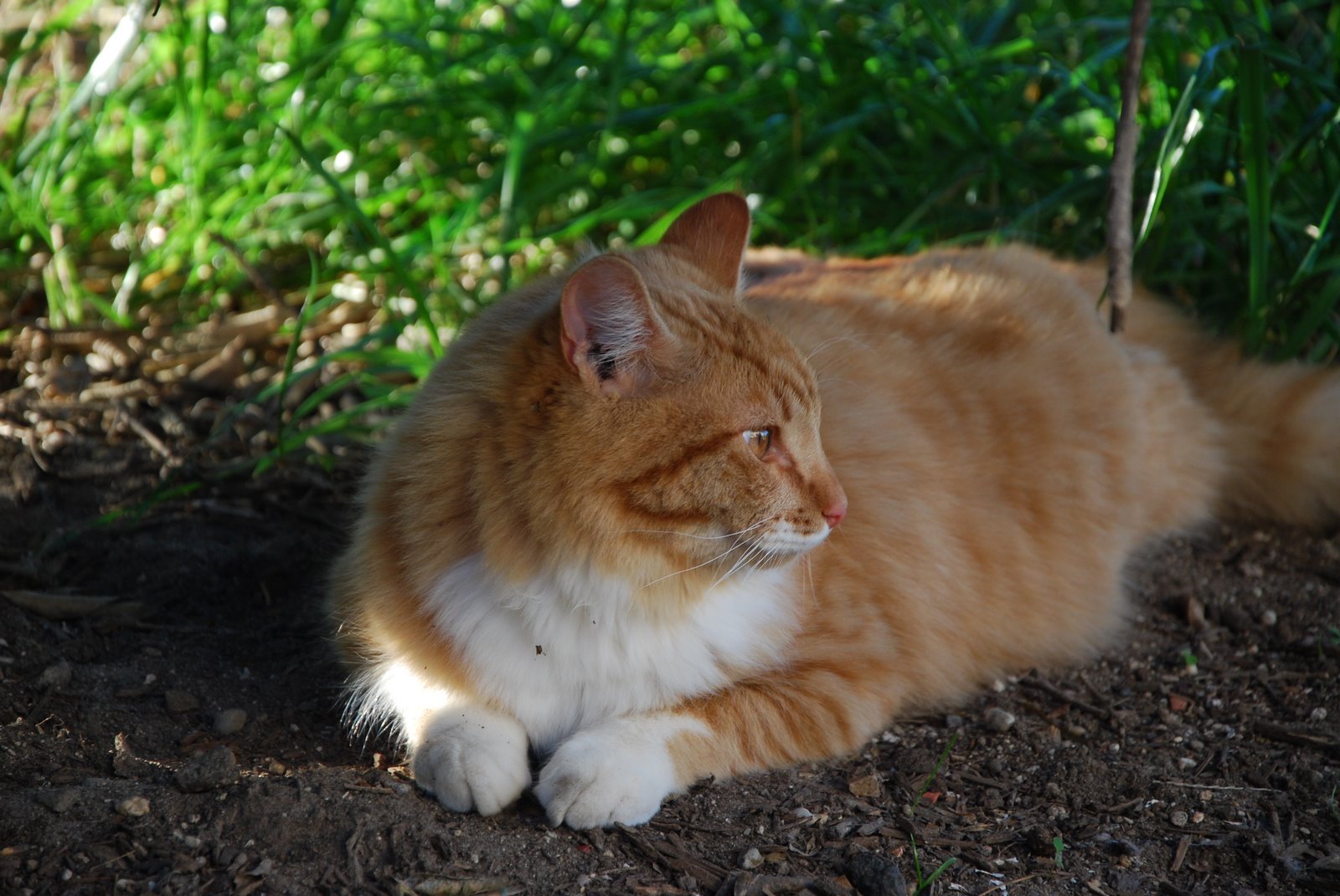 [DSC_0024.JPG]