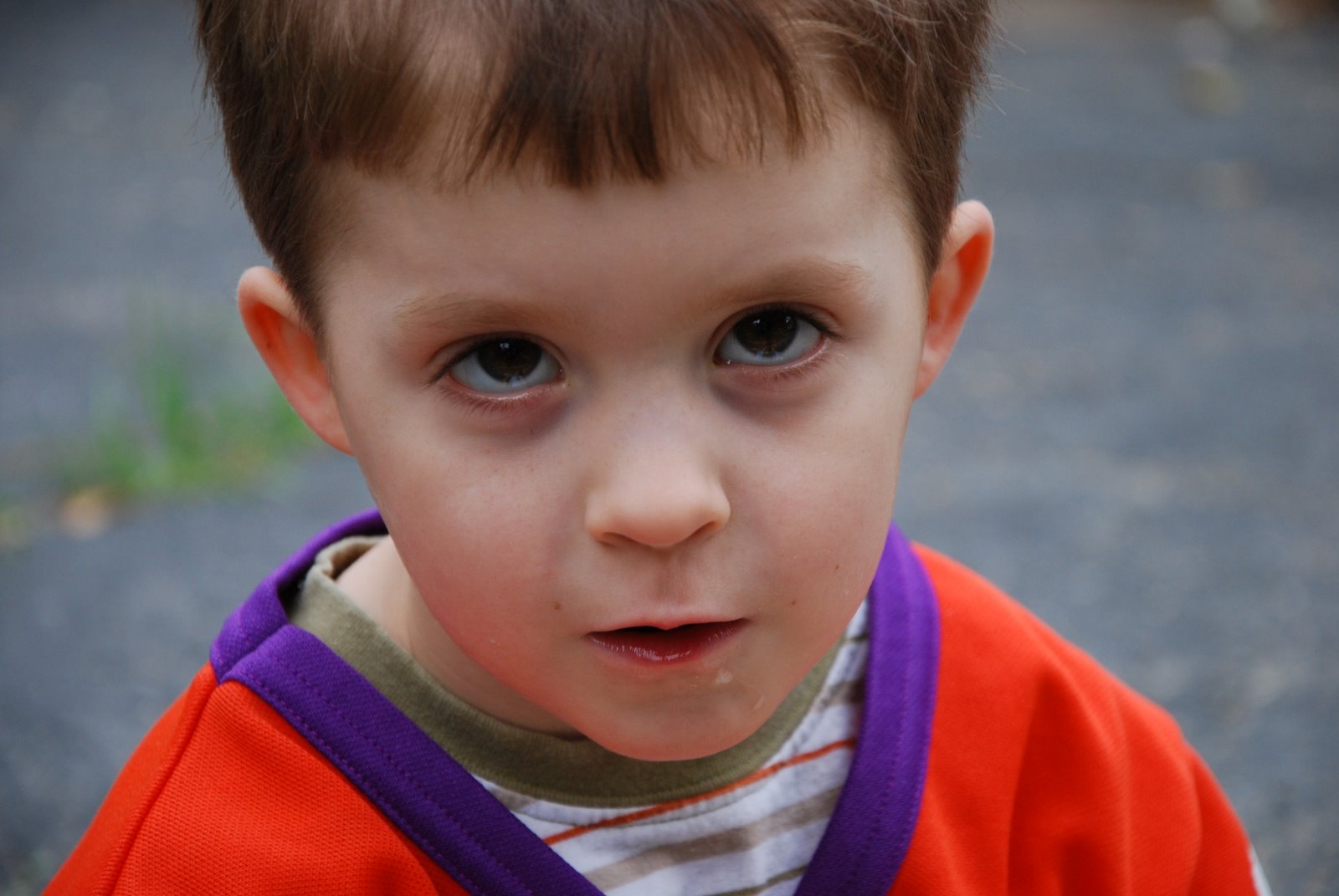 [DSC_0009.JPG]