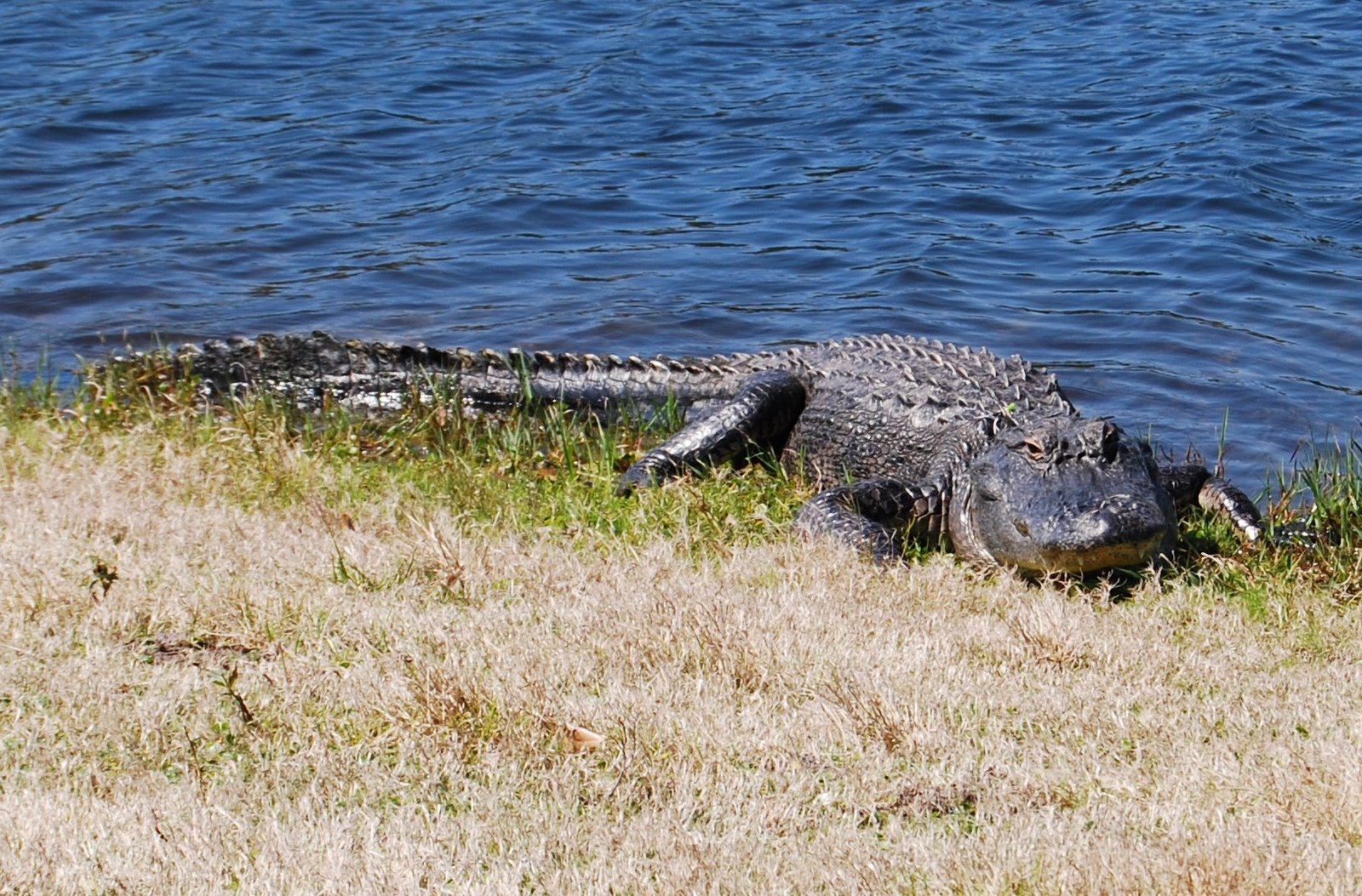 [2009-03-25+047-crop.jpg]