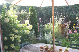 A Small Garden Obsession: December 2009