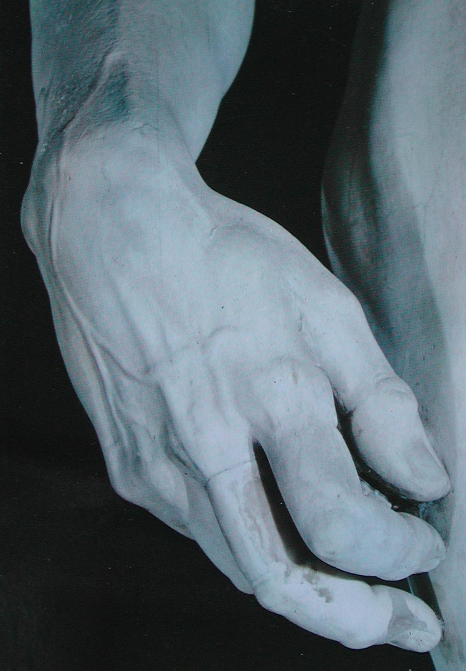 [DavidHands.jpg]